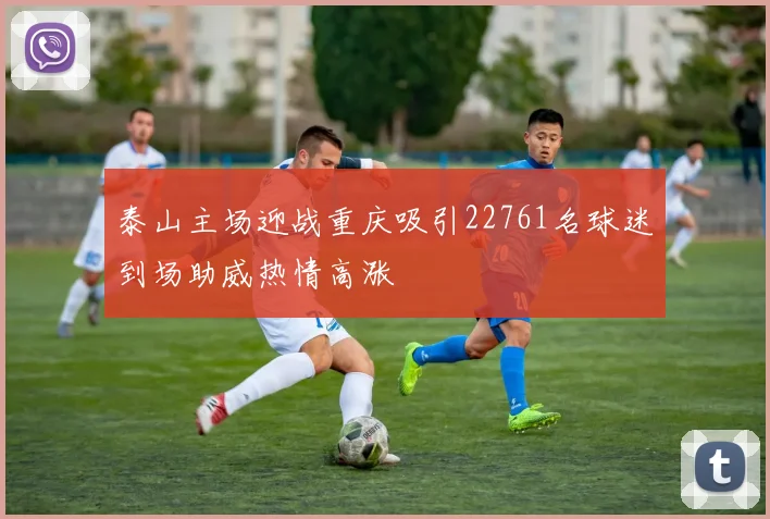 泰山主场迎战重庆吸引22761名球迷到场助威热情高涨